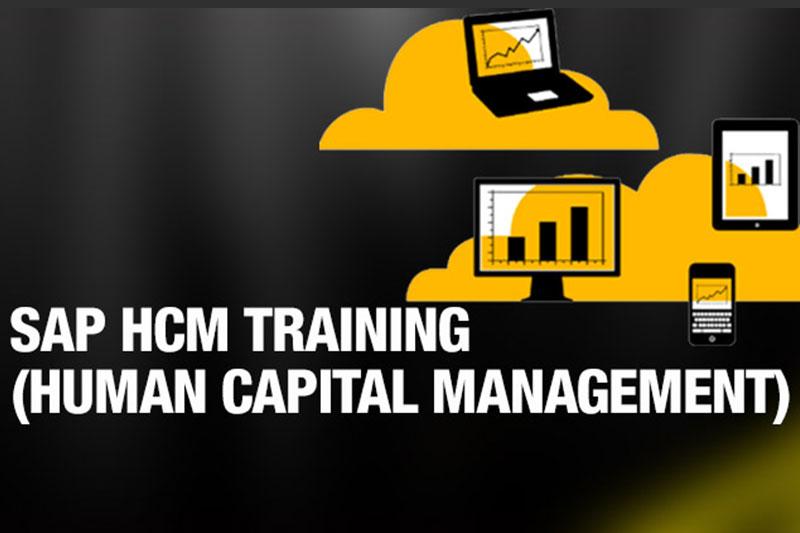 SAP HCM Training in Bangalore - Marathahalli