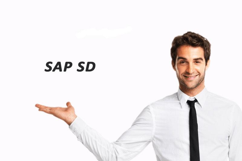 SAP SD Training in Bangalore - Marathahalli
